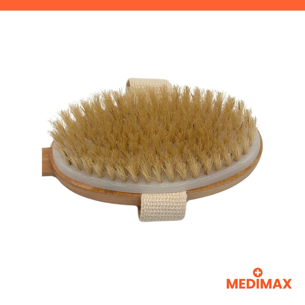 Brosse Long Manche Bois Premium